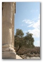 acropolis - erechtheion