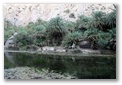 foret de palmiers de preveli en crète