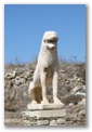 delos lions