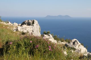 Côte de Leucade 01