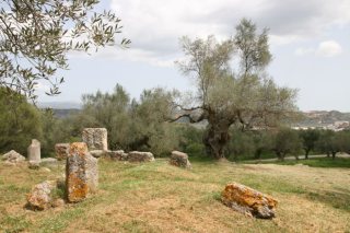 Site archéologique de Sparte en Grèce 04