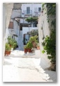 Plaka Athènes